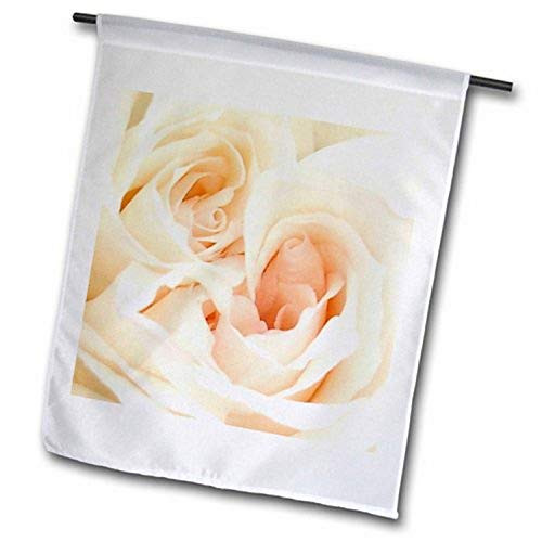 3dRose fl-46793-2 White Rose Marriage Wedding Save The Date Engagement Garden Flag 18 by 27 3dRose fl-46793-2 White Rose Marriage Wedding Save The Date Engagement Garden Flag 18 by 27
