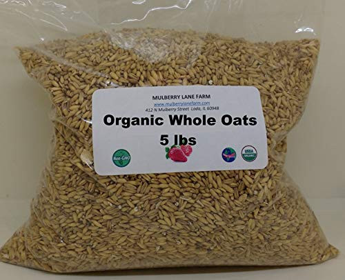 Whole Oats 5 Pounds Hulled  Groats  USDA Certified Organic Non-GMO Bulk