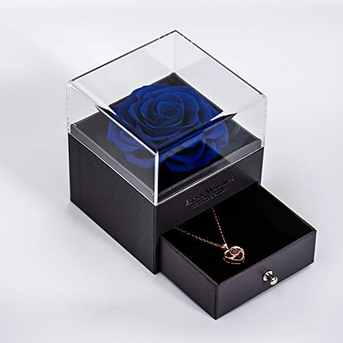 Sunia Preserved Real Rose Eternal Handmade Preserved Rose with Love You Necklace 100 Languages Gift Enchanted Real Rose Flower for Valentines Day An Sunia Preserved Real Rose Eternal Handmade Preserved Rose with Love You Necklace 100 Languages Gift Enchanted Real Rose Flower for Valentines Day An