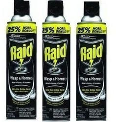 Raid Wasp and Hornet Spray- 17.5 ounces - 3 Pack