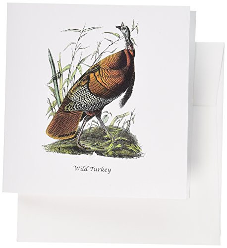 3dRose Wild Turkey by John James Audubon Greeting Cards  Set of 12 -gc-114070-2-