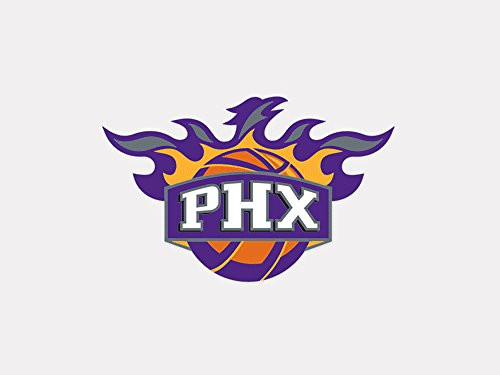 WinCraft NBA Phoenix Suns Perfect Cut Color Decal  4 x 4