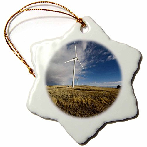 3dRose orn-43888-1 Wind Turbine Snowflake Decorative Hanging Ornament Porcelain 3-Inch 3dRose orn-43888-1 Wind Turbine Snowflake Decorative Hanging Ornament Porcelain 3-Inch