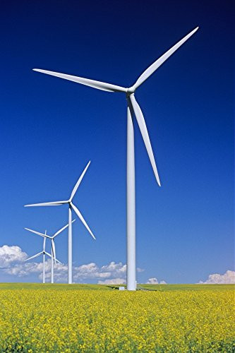 Posterazzi Wind Turbines In Canola Field Near St Leon Manitoba Poster Print  -11 x 17-