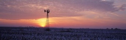 Posterazzi Windmill Cornfield Edgar County IL USA Poster Print  -36 x 12-