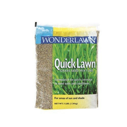 Barenbrug 135936 Quick Grass Seed  3 lb-
