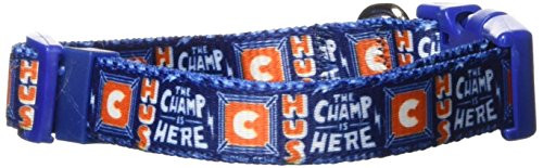 Petmate WWE 5-8 X 8-14 John Cena Adjustable Dog Collar