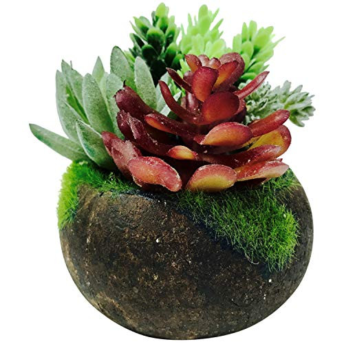 Artificial Succulent Plants in Rustic Pot - Potted Fake Plant in Flower Arrangement Fake Succulent Plants in Pots for Home Décor Indoor Faux Succule Artificial Succulent Plants in Rustic Pot - Potted Fake Plant in Flower Arrangement Fake Succulent Plants in Pots for Home Décor Indoor Faux Succule
