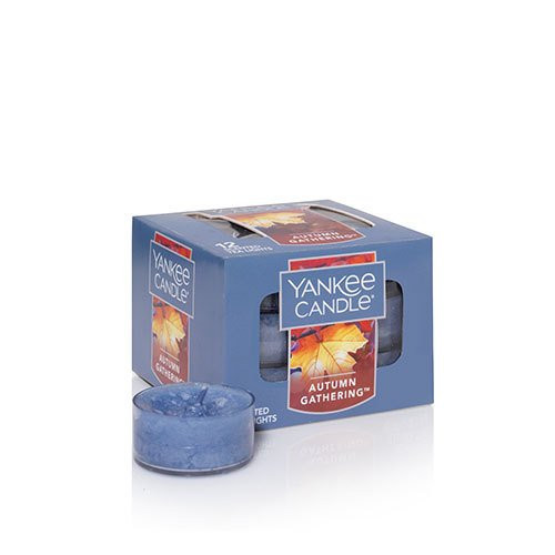 Yankee Candle Autumn Gathering Tea Light Candle, Fresh Scent