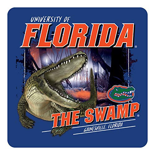 NCAA Florida Gators Unisex 4 Vinyl Sticker - The Swamp  Multi  One Size