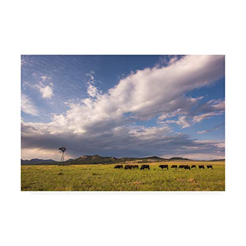 Trademark Fine Art Windmill 6 by Dan Ballard  12x19