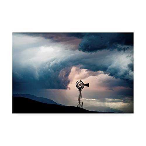 Trademark Fine Art Windmill 9 by Dan Ballard  16x24