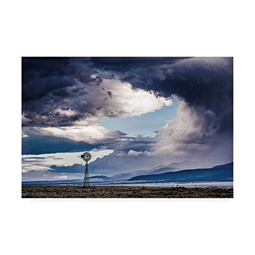 Trademark Fine Art Windmill 10 by Dan Ballard  16x24