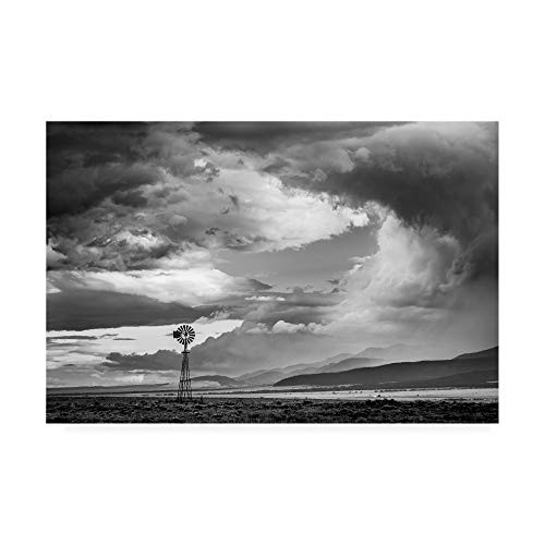 Trademark Fine Art Windmill 12 by Dan Ballard  16x24