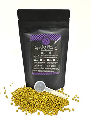 Florikan 16-5-11 NPK MAX 180 Day Timed Release Fertilizer- Excellent for Orchids  Anthuriums  Philodendrons- -1 Pound-