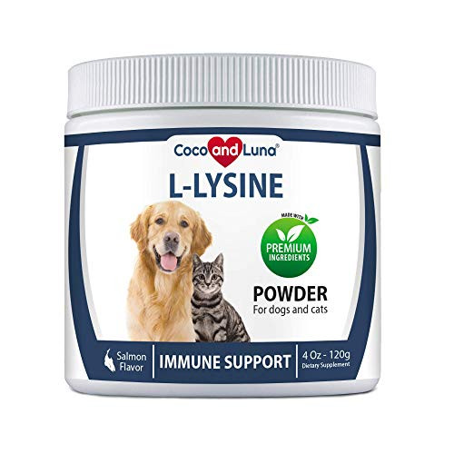 Lysine for Cats and Dogs  L-Lysine Powder for Cats and Dogs - Immune Support for Cats and Dogs  Eye Function and Respiratory Health  Salmon Flavor -