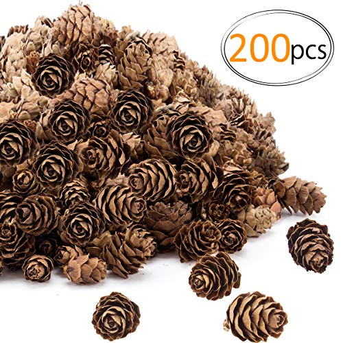 Apipi 200 Pieces Thanksgiving Rustic Mini Brown Pine Cones in Bulk - Christmas Natural Pine Cones Ornaments for Home Decoration,Fall and Christmas Crafts