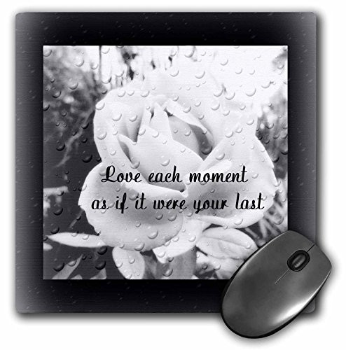 3dRose LLC 8 x 8 x 0.25 Inches Mouse Pad, Foxes Using A Log As Sled (mp_165319_1)