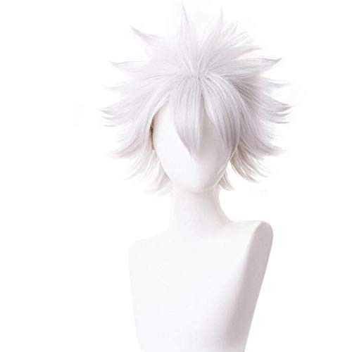 Ebingoo Wig sliver white Cosplay Wig Short Natural Wavy Wig Synthetic Wig Hair For Costume Halloween movies for Men Ebingoo Wig sliver white Cosplay Wig Short Natural Wavy Wig Synthetic Wig Hair For Costume Halloween movies for Men