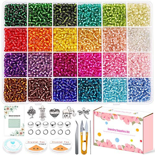 6000PCS 4mm 6-0 Glass Seed Beads kit  Gacuyi 24Colors Small Rainbow Pony Glass Beads Bulk with Jewelry Making Findings and Tools for Adult DIY Jewelry