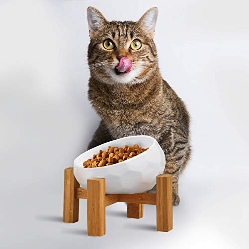Lifetech Ceramic Dog Bowl Raised Cat Bowl Slanted Cat Dish with Wood Stand Pet Food Water Feeder No Spill Pet Feeding Bowls Tilted Cat Dog Basic Bowl Lifetech Ceramic Dog Bowl Raised Cat Bowl Slanted Cat Dish with Wood Stand Pet Food Water Feeder No Spill Pet Feeding Bowls Tilted Cat Dog Basic Bowl