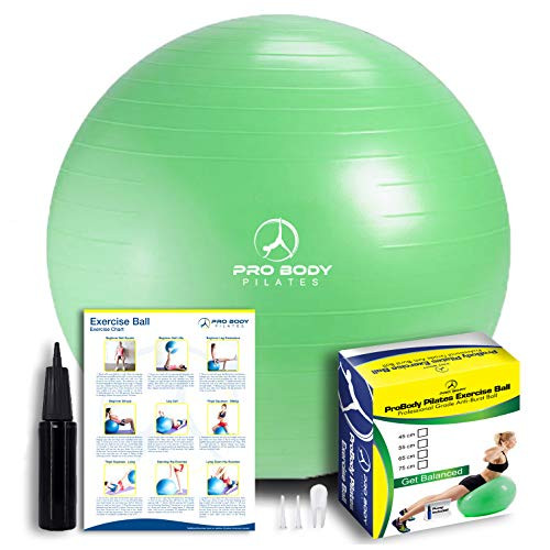 Exercise Ball - Professional Grade Anti-Burst Fitness  Balance Ball for Pilates  Yoga  Birthing  Stability Gym Workout Training and Physical Therapy - Exercise Ball - Professional Grade Anti-Burst Fitness  Balance Ball for Pilates  Yoga  Birthing  Stability Gym Workout Training and Physical Therapy -
