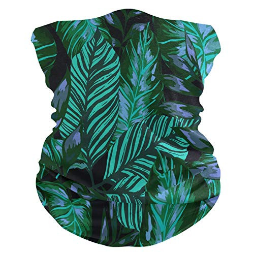 Bardic Face Mask Summer Tropical Leaves Purple Reusable Cloth Face Mask Washable Bandana Balaclava for Man Woman