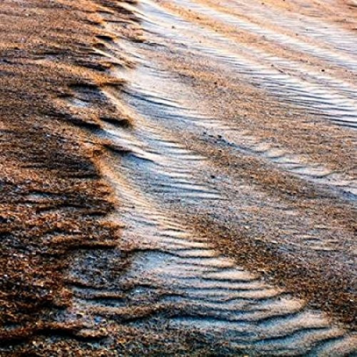 Posterazzi Wind Sand and Water IV Poster Print by Alan Hausenflock  -24 x 24-