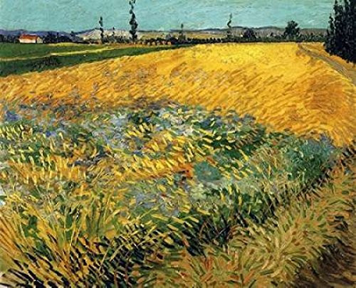 Posterazzi Wheatfield 1888 Poster Print by Vincent Van Gogh  -8 x 10-