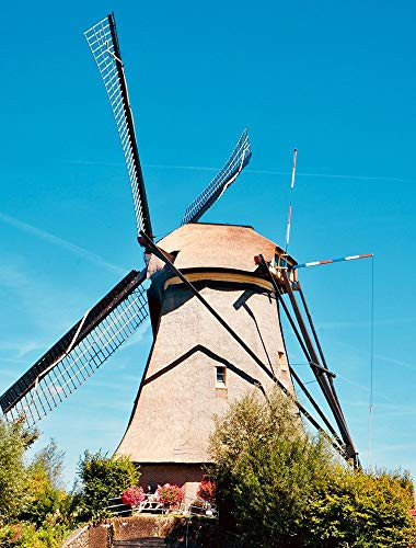 Posterazzi PDXNA1037SMALL Windmill II Photo Print  18 x 24  Multi
