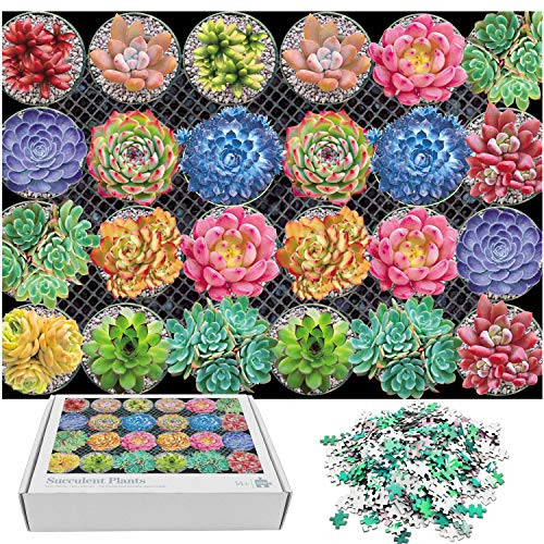 Jigsaw Puzzles 1000 Pieces for Adults Succulents Educational Fun Game Intellectual Decompressing Interesting Puzzle