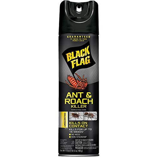 Black Flag Ant and Roach Killer Aerosol Spray  Unscented  17-5-Ounce