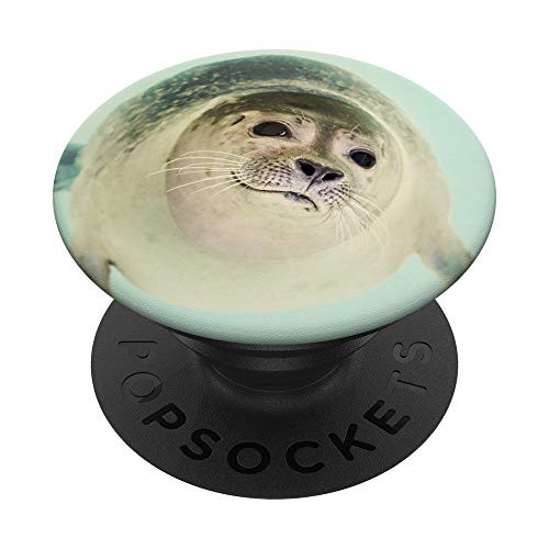 Seal PopSockets PopGrip Swappable Grip for Phones and Tablets Seal PopSockets PopGrip Swappable Grip for Phones and Tablets