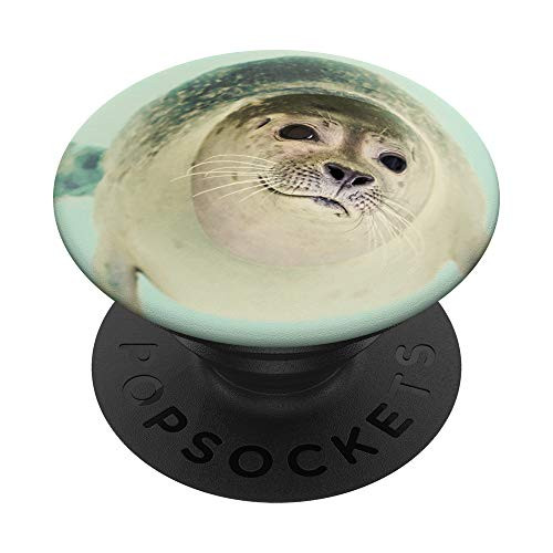 Cute Seal Pup Sea Lion Animal Lover Gift Blue White Photo PopSockets Grip and Stand for Phones and Tablets