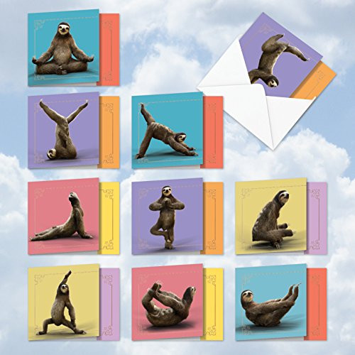 Sloth Yoga: 10 Assorted Set of Blank New 'Square-Top' All Occasions Greeting Cards Featuring Images of Relaxing Sloths Stretching Out, with Envelopes - AMQ6255OCB-B1x10