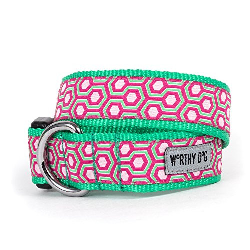 The Worthy Dog Hexagon Honeycomb Pattern Designer Adjustable and Comfortable Nylon Webbing  Side Release Buckle Collar for Dogs - Fits Small  Medium a