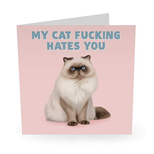 Central 23 - Funny Anniversary Card - My Cat Fcking Hates You - For Men and Women Him Her Boyfriend Girlfriend Wife Husband Fiance Relationship Love -