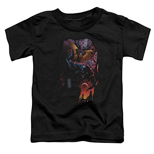 Batman Batman and Robin 1 Unisex Toddler T Shirt for Boys and Girls  Large -4T- Black