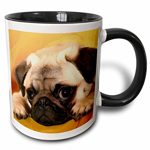 3dRose 3dRose Pug - Two Tone Black Mug, 11oz (mug_3644_4), , Black/White