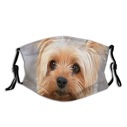 Cute Yorkshire Terrier?Dustproof Windproof Face Mask Reusable Washable Cloth Face Cover Cover for Dust Men Women Cute Yorkshire Terrier?Dustproof Windproof Face Mask Reusable Washable Cloth Face Cover Cover for Dust Men Women