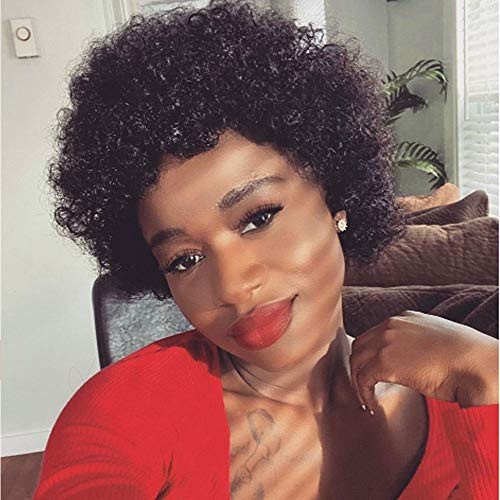 Ms Taj Short Curly Afro Wigs for Black Women Human Hair Unprocessed Virgin Short Human Hair Wigs None Lace 150 Density Machine Made Glueless Afro Cur