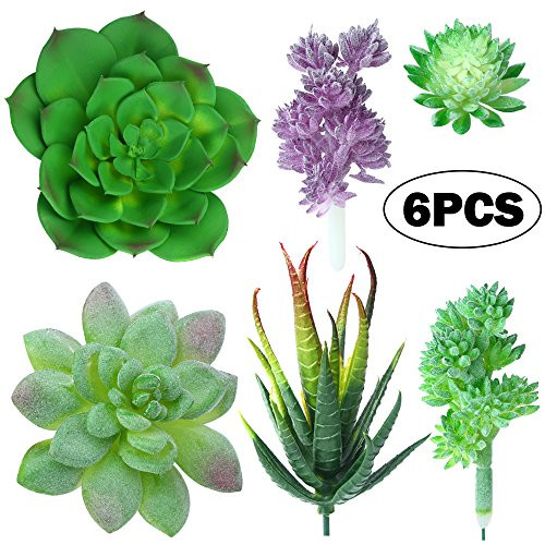 Yblntek Artificial Succulent Plants, Assorted Succulent Picks Fake Succulents Unpotted for Floral Arrangement Home Decoration, 6 Pieces Yblntek Artificial Succulent Plants, Assorted Succulent Picks Fake Succulents Unpotted for Floral Arrangement Home Decoration, 6 Pieces