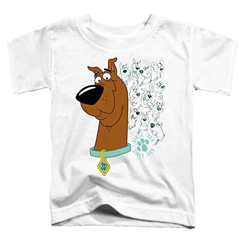 Scooby Doo Evolution of Scooby Doo Unisex Toddler T Shirt for Boys and Girls  Medium -3T- White