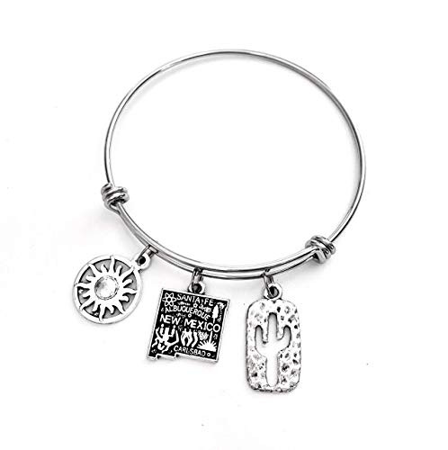 New Mexico charm bracelet gift- Includes Sunshine  State of New Mexico  and Cactus charms- New Mexico Jewelry Gift- Expandable Bangle Bracelet- New Me