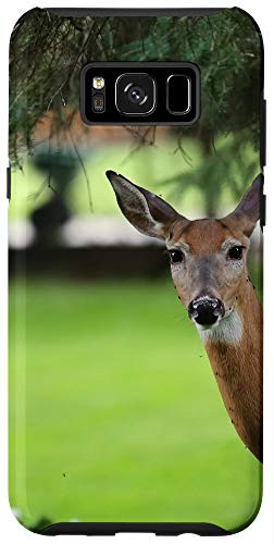 Galaxy S8- Deer Peeking Wildlife Nature Buck Hunting Doe Outdoors Gift Case