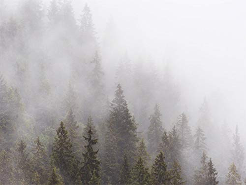 Misty forest landscape  Scandinavian Photography Art 12x16 inches  Nature Print  Foggy Trees  Wall Decor  Fine Art