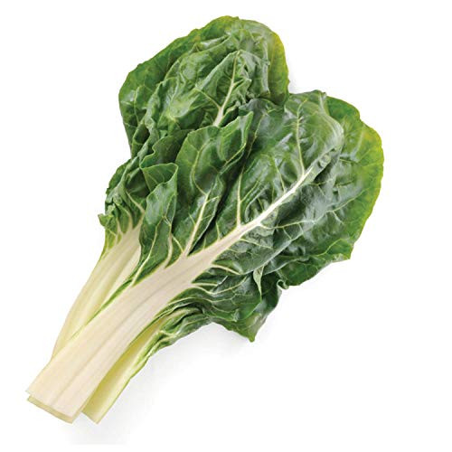 UtopiaSeeds Fordhook Giant Swiss Chard Seeds - Up to 48 Tall - Nutritious and Delicious - Approximately 175 Seeds