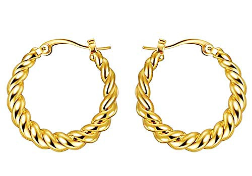 Twisted Hoop Earrings for Women 14K Gold Plated Chunky Small Huggie Hoop Earrings Gift for Her