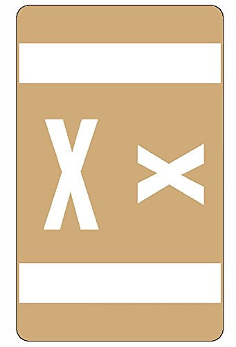 Smead AlphaZ ACCS Color-Coded Alphabetic Labels, Letter X, Light Brown, 100 Labels per Pack (67194)