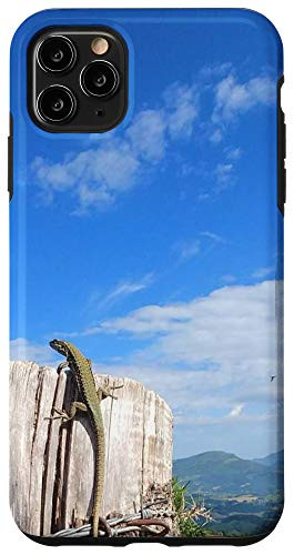 iPhone 11 Pro Max Beautiful Landscape Lizard Nature Outdoors Mountains Sky Case